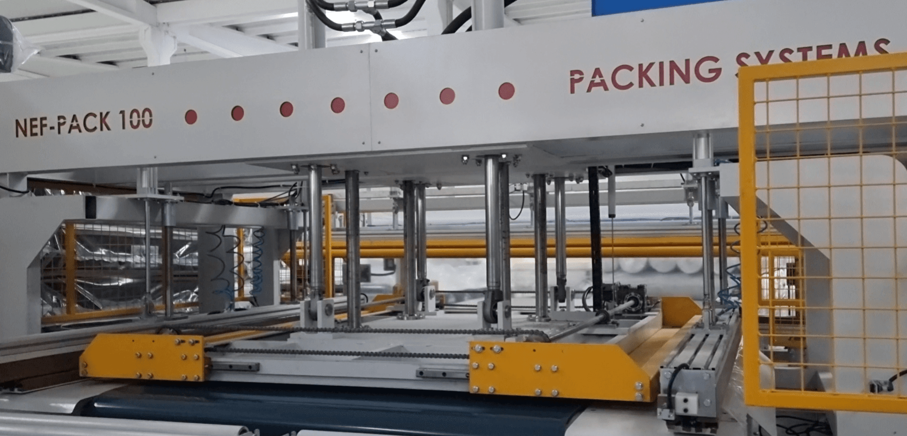 NEF PACK 100 — görsel 1